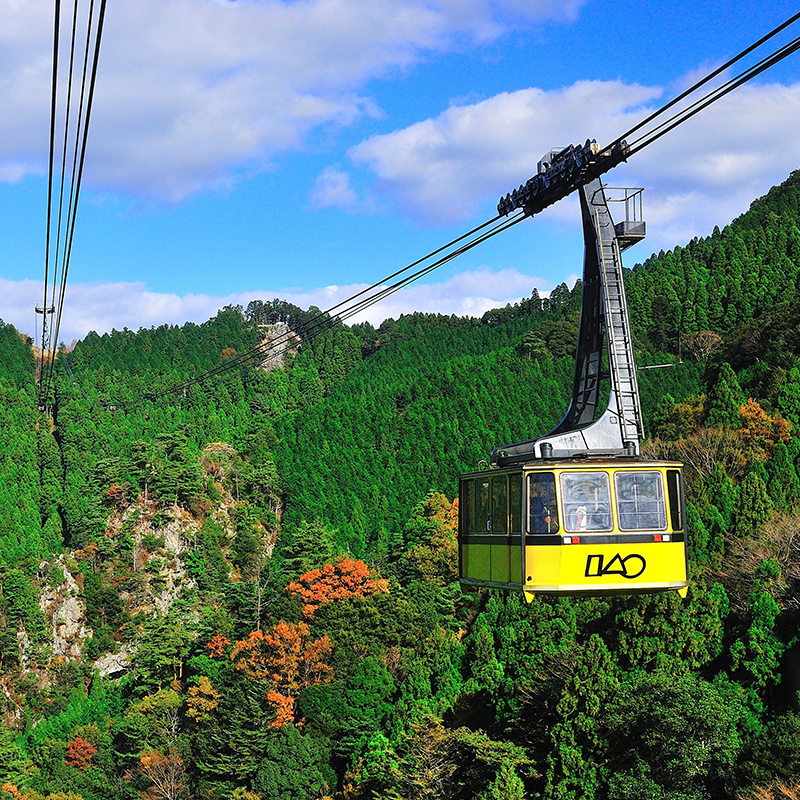 ロープーウェイ