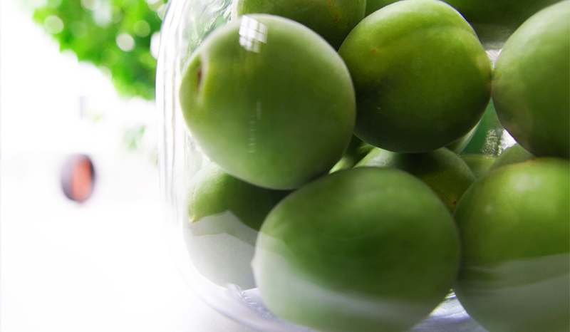 ブログ「UuuuuuuMe!!」の写真