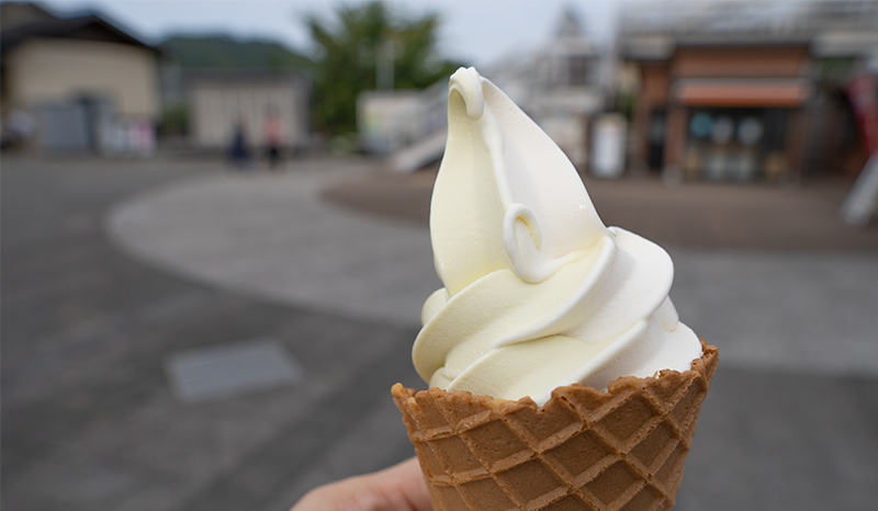 ブログ「道の駅日和佐のすだちソフトクリームは甘さ控えめで爽やか！」の写真