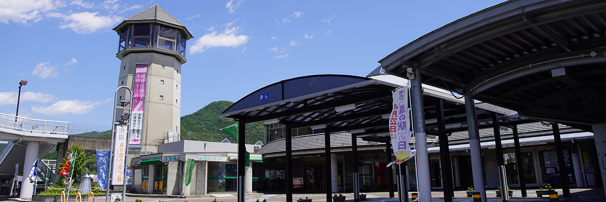 貞光ゆうゆう館の画像