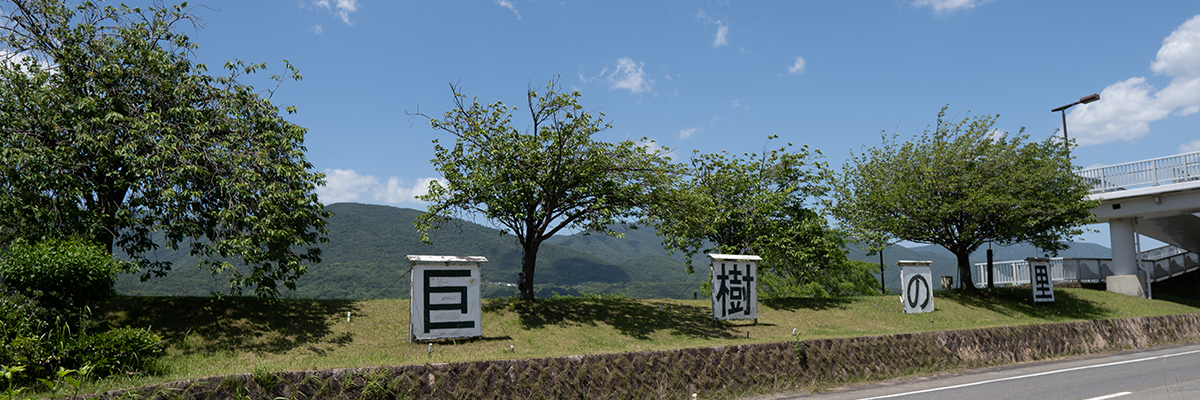 貞光ゆうゆう館の写真3